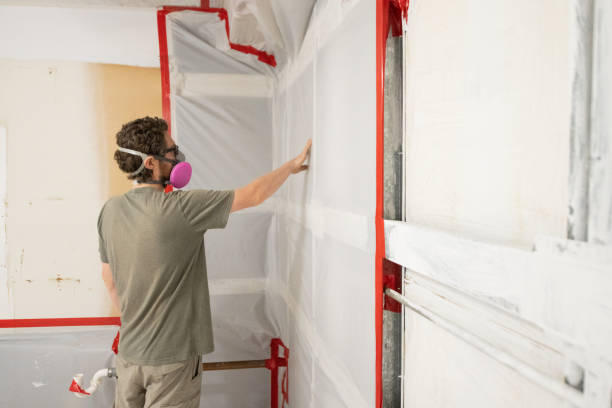 Best Mold Remediation for Healthcare Facilities  in Orange Park, FL