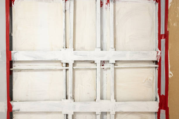 Best Basement Mold Removal  in Orange Park, FL