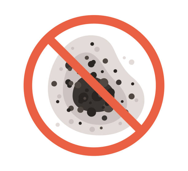 Reliable Orange Park, FL Mold Removal Solutions