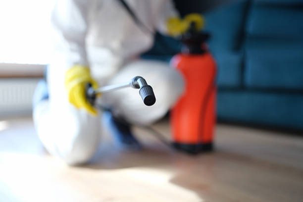 Best Post-Remediation Verification Testing  in Orange Park, FL