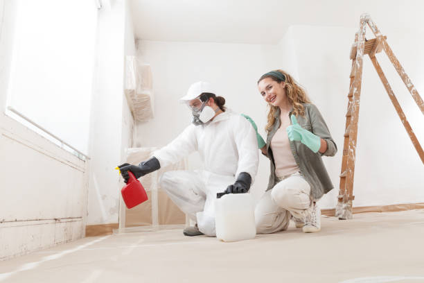 Best Attic Mold Removal  in Orange Park, FL